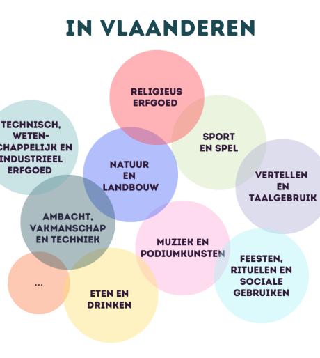 infographic-domeinen-van-immaterieel-erfgoed-in-Vlaanderen
