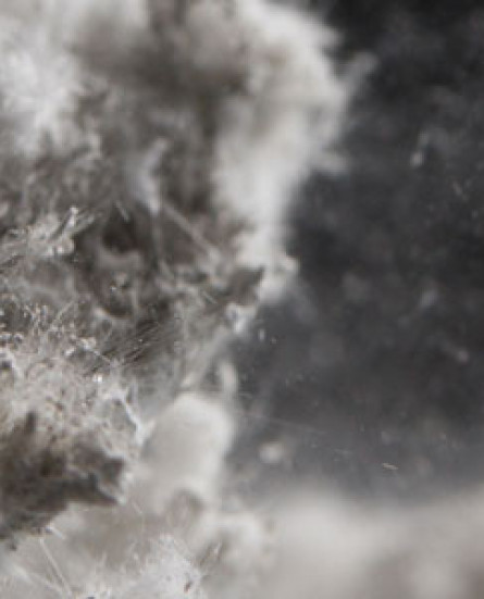 asbestos dust