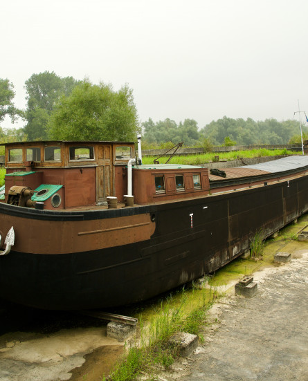 DSC_4761