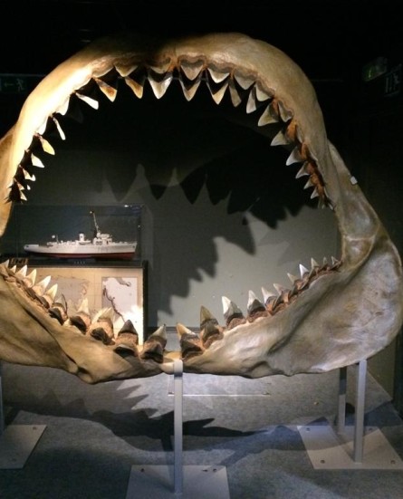 aquariummuseum