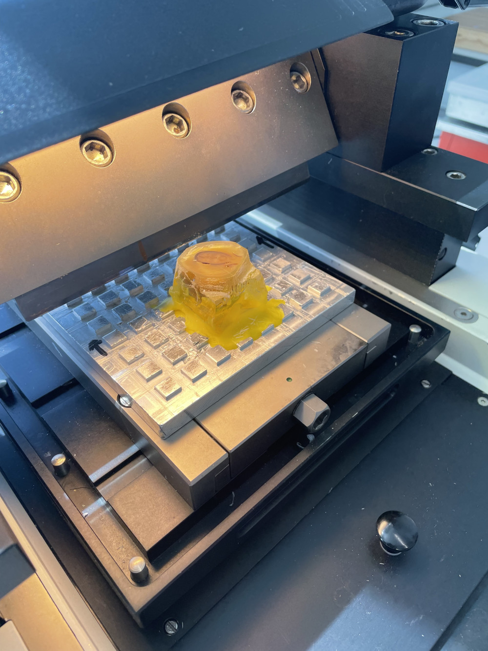 Preparaten_The microtome is ready for slicing (c) ETWIE