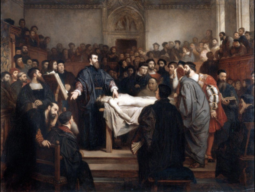 vesalius in het anatomisch theater in padua -  Edouard Jean Conrad Hamman(c) Leemage