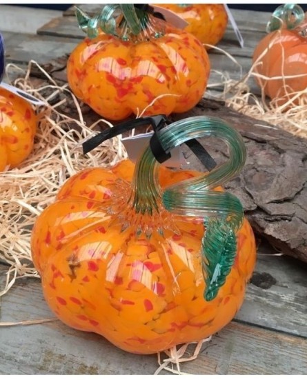 pumpkin_patch_2_3