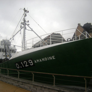 amandine