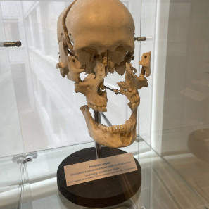 Zorgmuseum Waregem