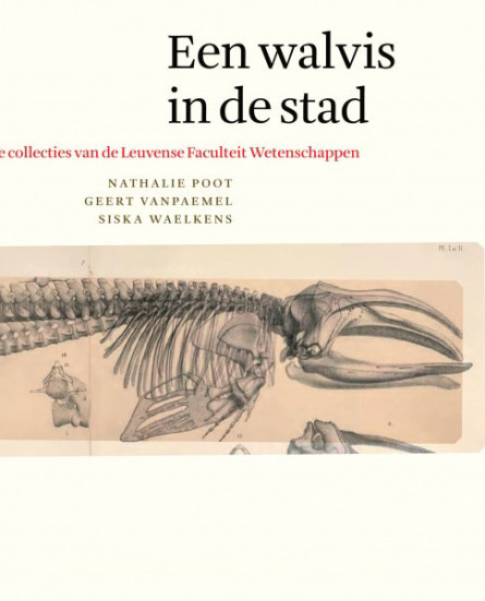 eenwalvisindestad4