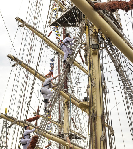 Tall Ships Race klimmen in mast