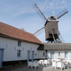 sabineokkerse