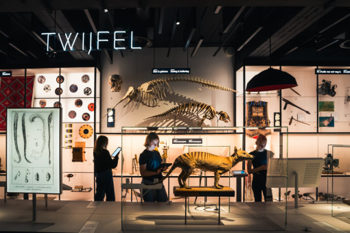 og_image_twijfel-neon-scenografie-school-kinderen-martin-corlazolli