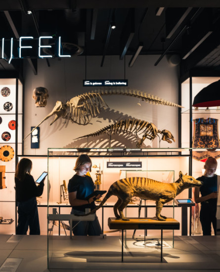 og_image_twijfel-neon-scenografie-school-kinderen-martin-corlazolli
