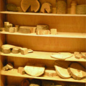herbarium_kul