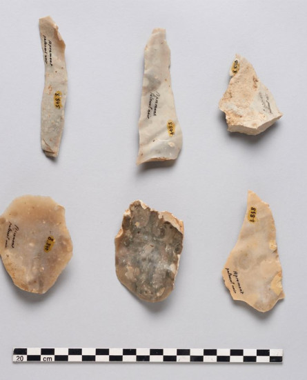 collectie archeologie KU Leuven