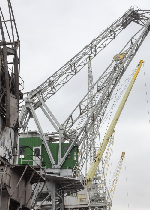 ETWIE1710 MAS Cranes (c) Still the time for ETWIE (20)