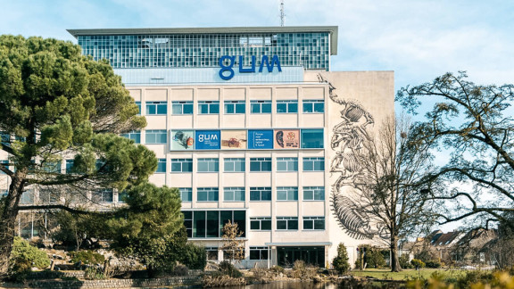 Gum (c) Klasse