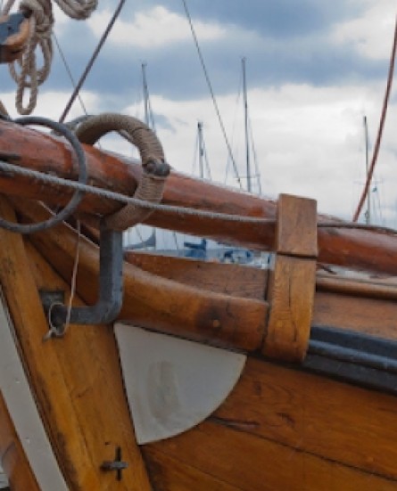 schip_bart_0