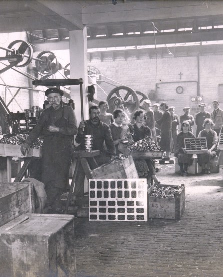 visindustrie
