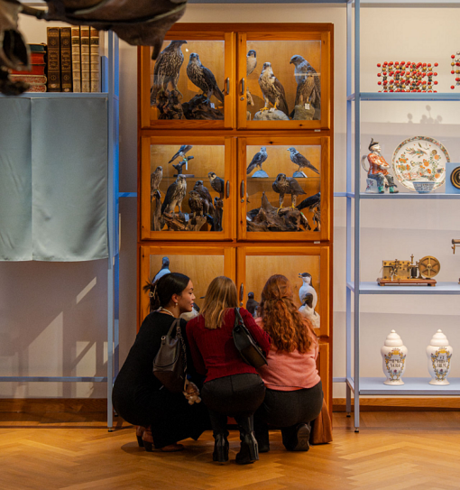 expo kuleuven