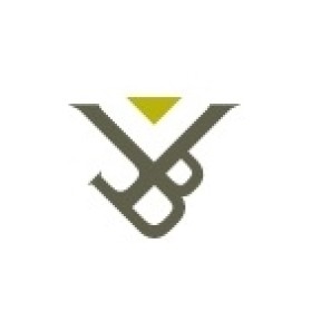 logo-vub_0