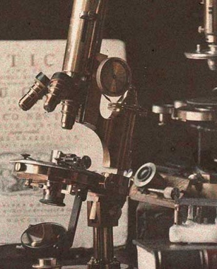 universeum-microscopen2