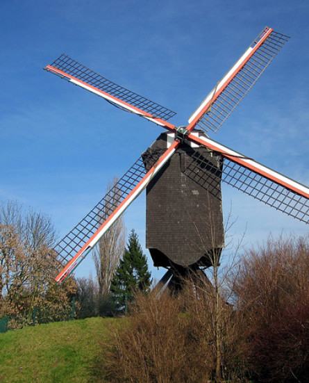 lindenmolen