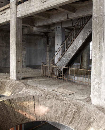 UitstapVriendenBXL_FotoLucCorthouts (5)