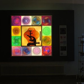 meduceum