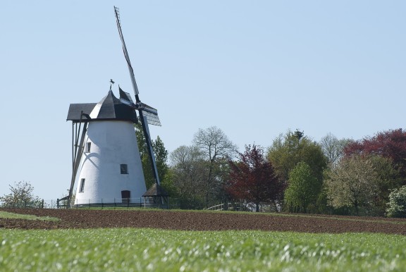 windmolen