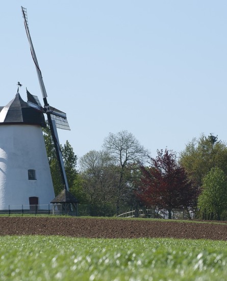 windmolen